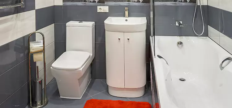 Hansgrohe Shaving Mirror West Hempstead